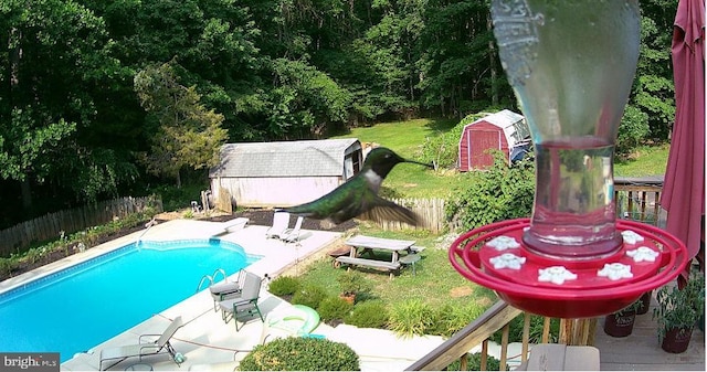 9600 Ritter Rd, Nokesville, VA 20181 - view of pool with a storage unit and a patio