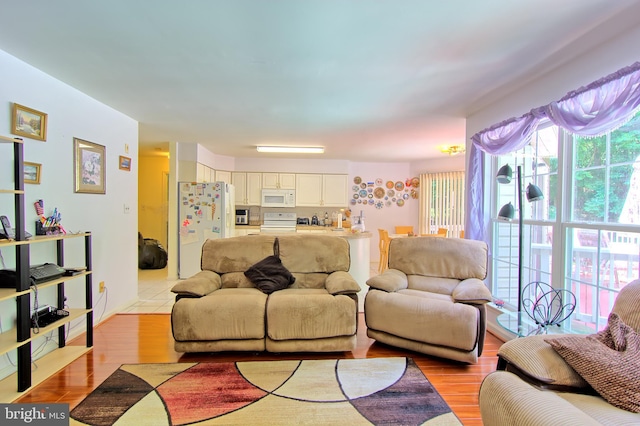 300 Bonnie Meadow Cir, Reisterstown, MD 21136 - living room featuring light wood-style flooring