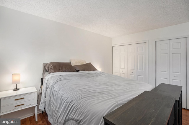 250 Ridge Pike Unit 58, Lafayette Hill, PA 19444 - bedroom featuring dark wood finished floors, a textured ceiling, and multiple closets