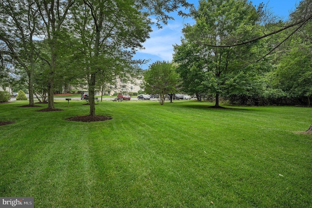 250 Ridge Pike Unit 58, Lafayette Hill, PA 19444 - view of grassy yard