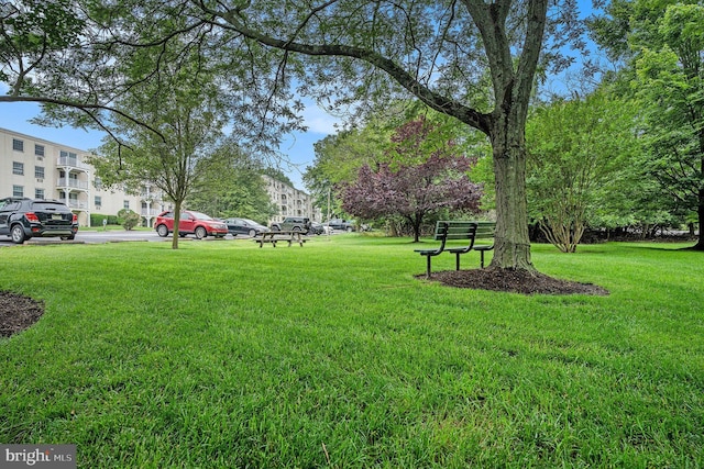 250 Ridge Pike Unit 58, Lafayette Hill, PA 19444 - view of green lawn