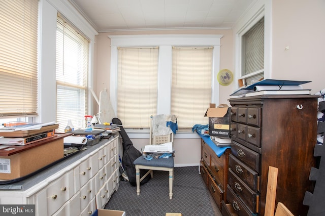 77 Atkins Ave, Hamilton, NJ 08610 - office space with dark colored carpet and crown molding