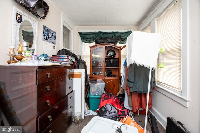 77 Atkins Ave, Hamilton, NJ 08610 - carpeted bedroom featuring crown molding and multiple windows