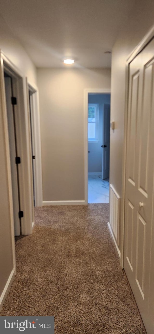 48 Petersburg Ln, Duncannon, PA 17020 - hall featuring carpet flooring