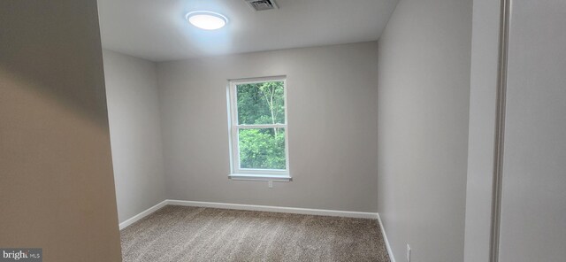 48 Petersburg Ln, Duncannon, PA 17020 - carpeted spare room with plenty of natural light