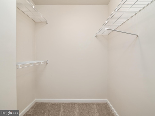 7101 Bay Front Dr Unit 204, Annapolis, MD 21403 - spacious closet with carpet floors