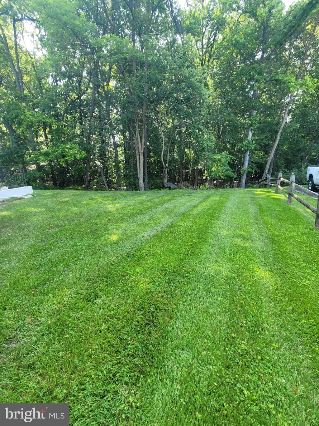 43 Maxa Ct, Middle River, MD 21220 - view of yard