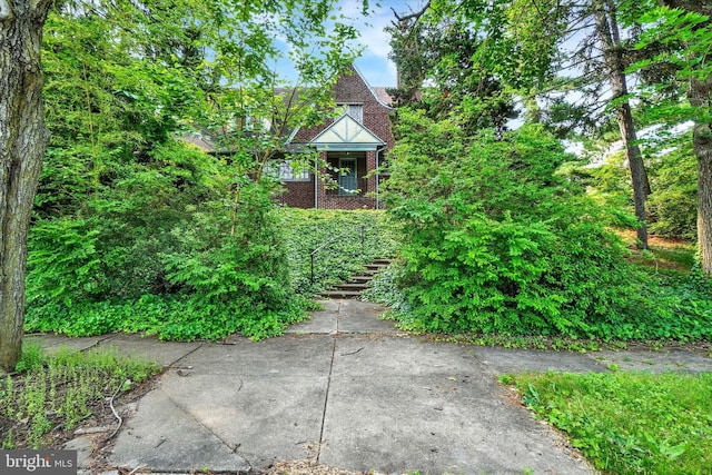 100 Springdale Rd, York, PA 17403 - view of yard