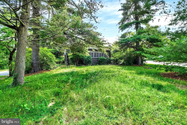 100 Springdale Rd, York, PA 17403 - view of yard