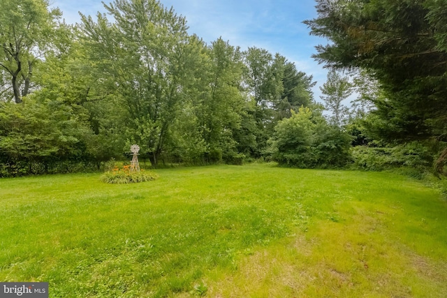 101 E Macphail Rd, Bel Air, MD 21014 - view of green lawn