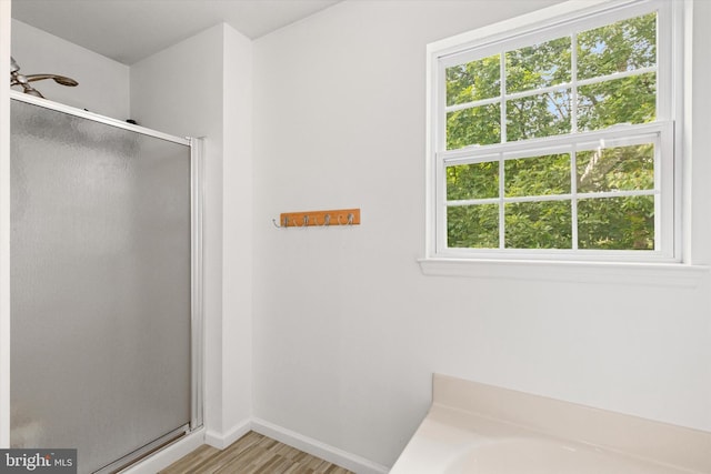 1009 Red Rock Cir, Royersford, PA 19468 - bathroom featuring a shower stall, plenty of natural light, and wood finished floors