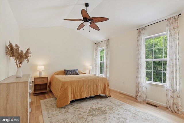 1009 Red Rock Cir, Royersford, PA 19468 - bedroom with multiple windows, light wood finished floors, lofted ceiling, and a ceiling fan
