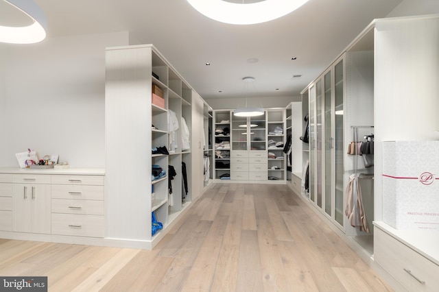 1020 Langley Hill Dr, Mclean, VA 22101 - walk in closet featuring light wood-style flooring