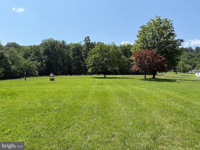 11 Gray Ridge Ln, Berkeley Springs, WV 25411 - view of green lawn