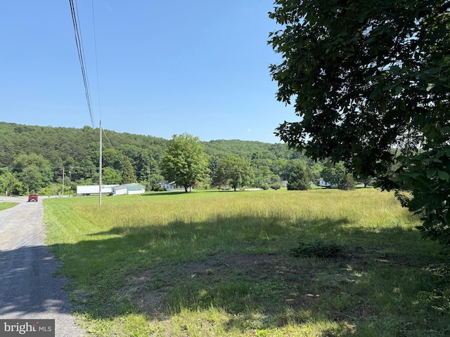 11 Gray Ridge Ln, Berkeley Springs, WV 25411 - view of yard with a wooded view
