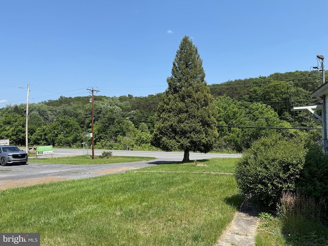 11 Gray Ridge Ln, Berkeley Springs, WV 25411 - view of green lawn featuring a wooded view