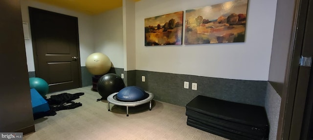 3600 S Glebe Rd Unit 330W, Arlington, VA 22202 - workout room featuring carpet flooring