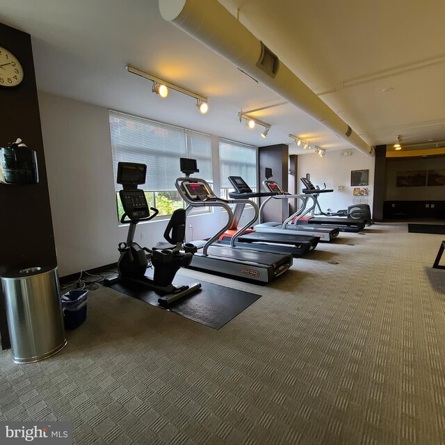 3600 S Glebe Rd Unit 330W, Arlington, VA 22202 - workout area featuring carpet and rail lighting