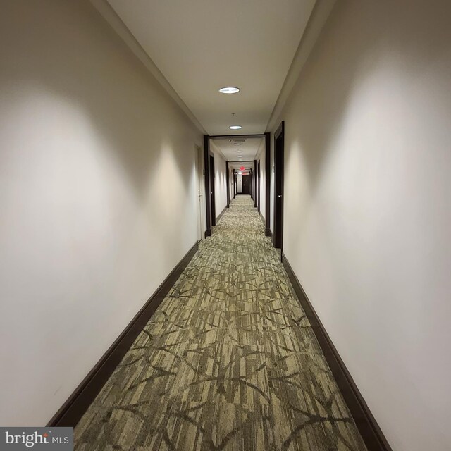 3600 S Glebe Rd Unit 330W, Arlington, VA 22202 - hall with carpet and recessed lighting