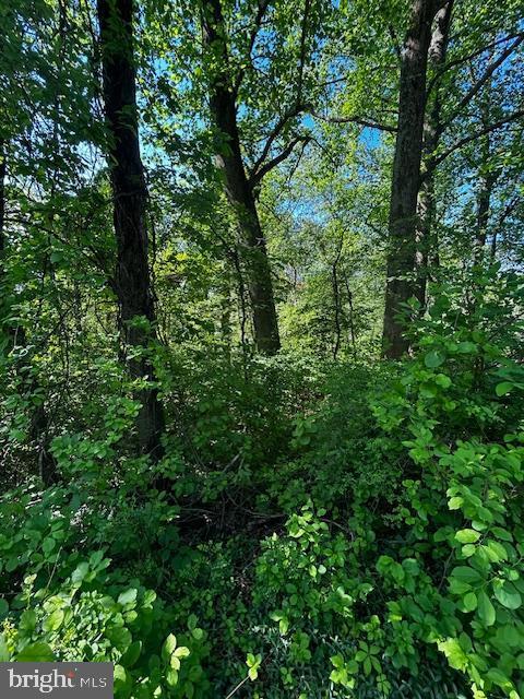 81 Mile Trl, Fairfield, PA 17320 - view of nature