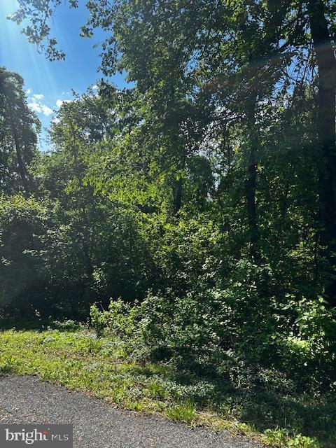 81 Mile Trl, Fairfield, PA 17320 - view of woods