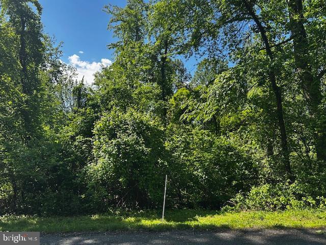 81 Mile Trl, Fairfield, PA 17320 - view of wooded area