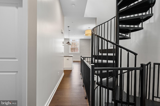 413 Jefferson St Unit 5, East Greenville, PA 18041 - corridor with dark wood-style floors and an upstairs landing