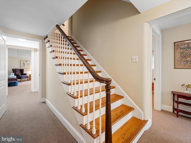 101 Morgan St, Winchester, VA 22601 - staircase with carpet