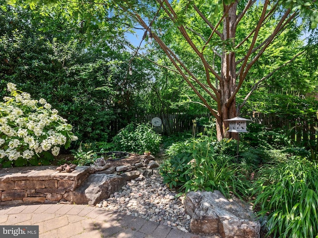 101 Morgan St, Winchester, VA 22601 - view of patio / terrace