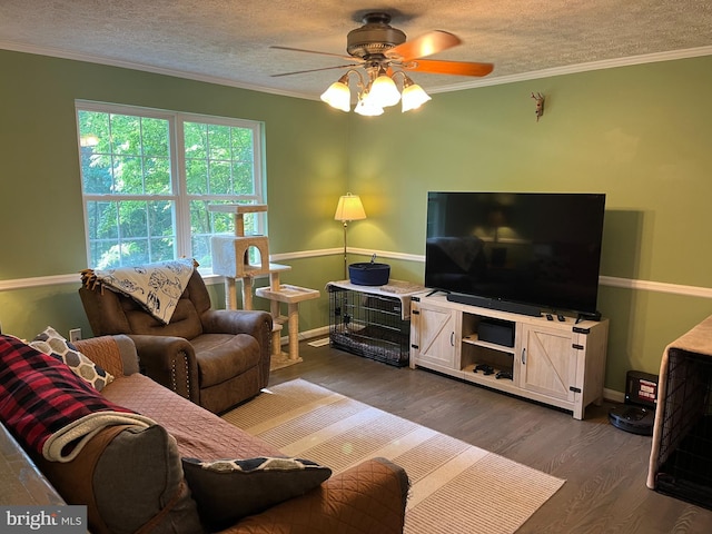 35904 Army Navy Dr, Mechanicsville, MD 20659 - living area with dark wood-style flooring, ceiling fan, crown molding, and a textured ceiling