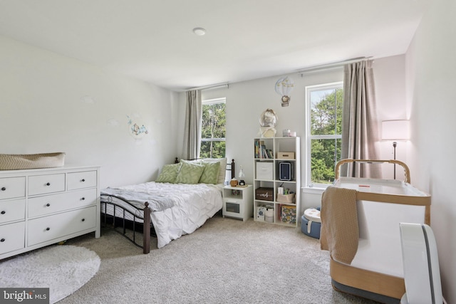 213 Wynstone Ct, Colmar, PA 18915 - bedroom featuring multiple windows and carpet