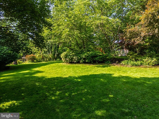 1032 N New St, West Chester, PA 19380 - view of grassy yard