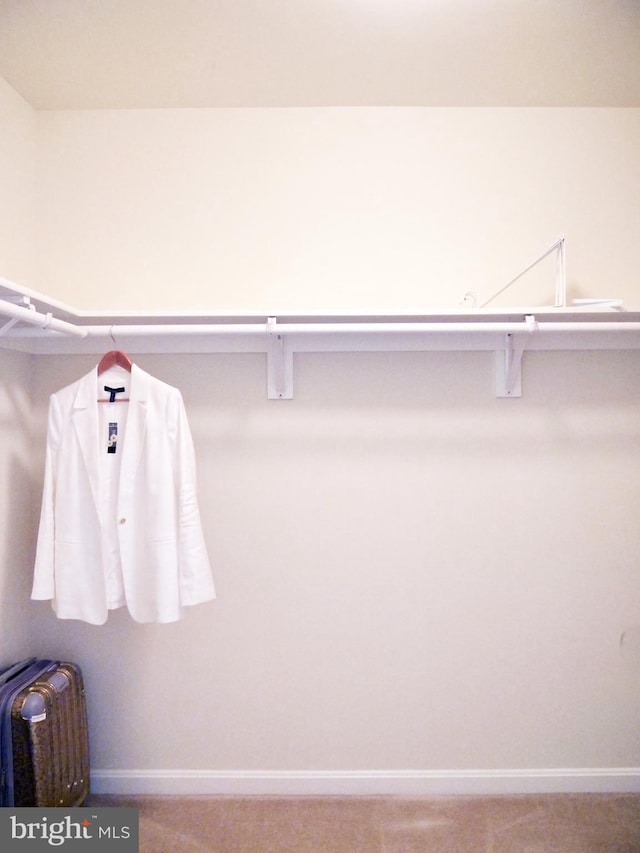 15152 Santander Dr, Gainesville, VA 20155 - walk in closet with carpet flooring