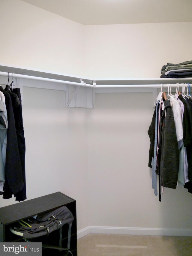 15152 Santander Dr, Gainesville, VA 20155 - walk in closet with light colored carpet