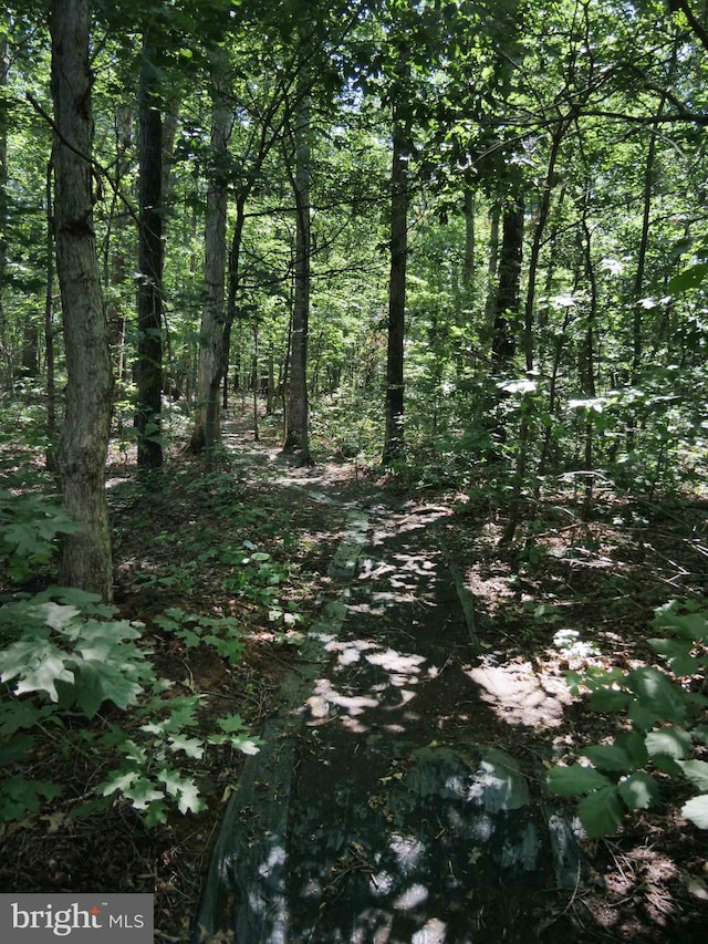 15152 Santander Dr, Gainesville, VA 20155 - view of woods