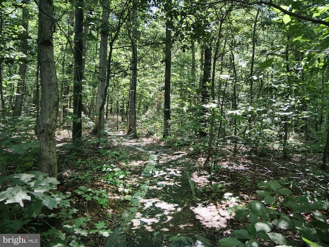 15152 Santander Dr, Gainesville, VA 20155 - view of wooded area