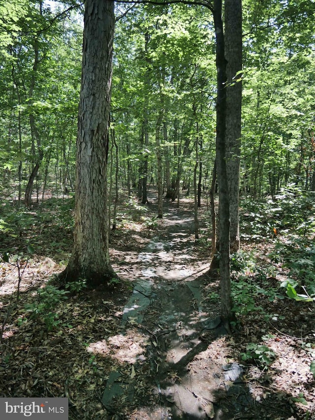 15152 Santander Dr, Gainesville, VA 20155 - view of wooded area
