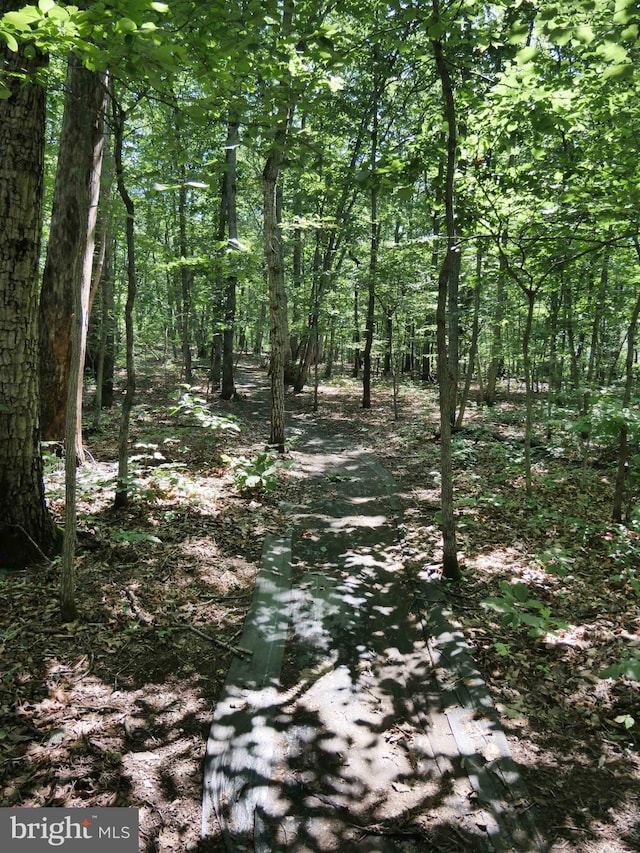 15152 Santander Dr, Gainesville, VA 20155 - view of woods