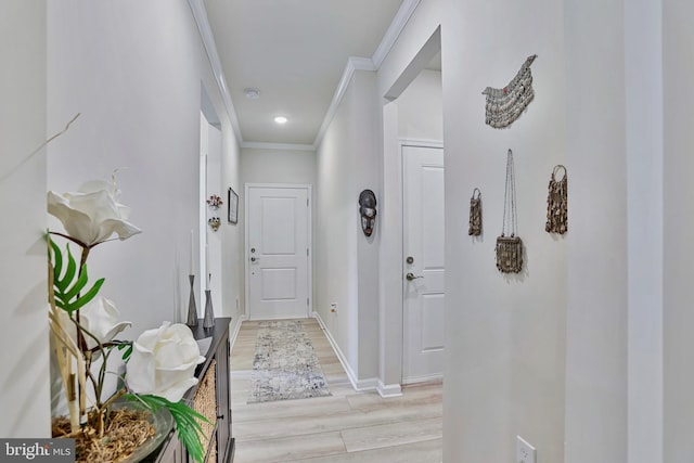 15937 Cucumber Magnolia Way, Haymarket, VA 20169 - hallway with crown molding and light wood-style flooring