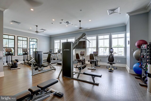 15937 Cucumber Magnolia Way, Haymarket, VA 20169 - exercise room with a ceiling fan, wood finished floors, recessed lighting, and ornamental molding