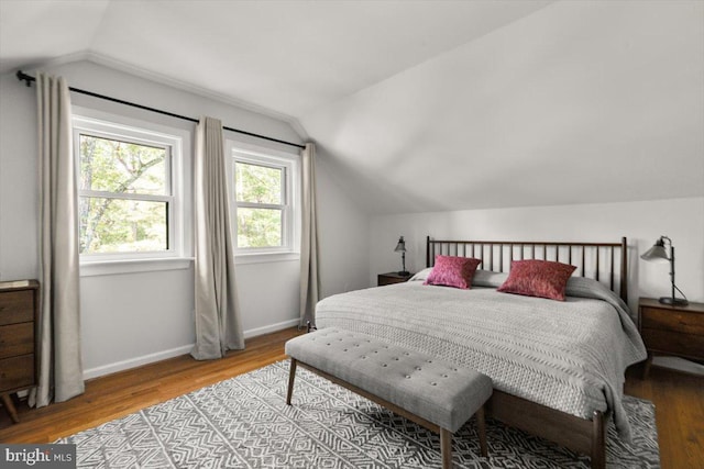 200 Sweetbriar, Winchester, VA 22603 - bedroom featuring lofted ceiling and wood finished floors