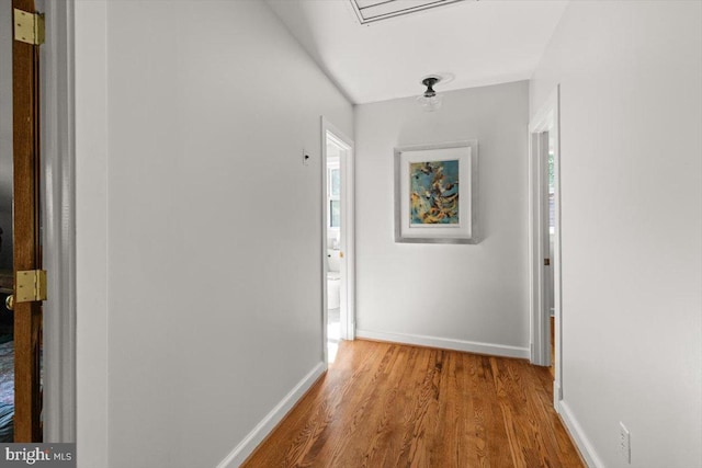200 Sweetbriar, Winchester, VA 22603 - hall featuring wood finished floors and baseboards