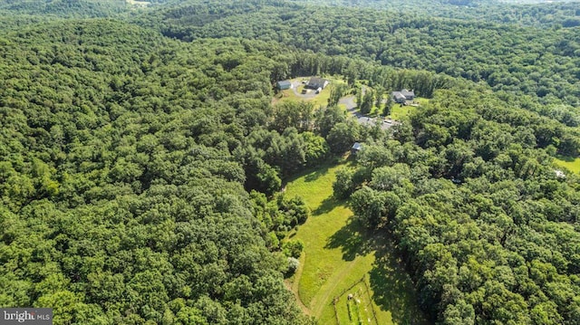 200 Sweetbriar, Winchester, VA 22603 - aerial view of a forest