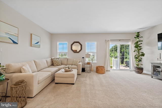 346 Goodwick Dr, Middletown, DE 19709 - living room featuring plenty of natural light and carpet floors