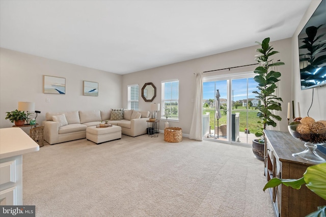 346 Goodwick Dr, Middletown, DE 19709 - view of carpeted living room