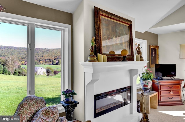 1319 Shady Ln, Tamaqua, PA 18252 - carpeted living room with a multi sided fireplace and vaulted ceiling