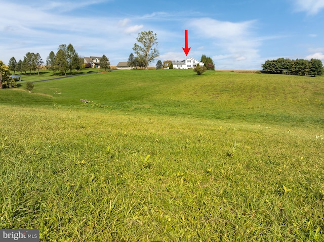 1319 Shady Ln, Tamaqua, PA 18252 - view of green lawn