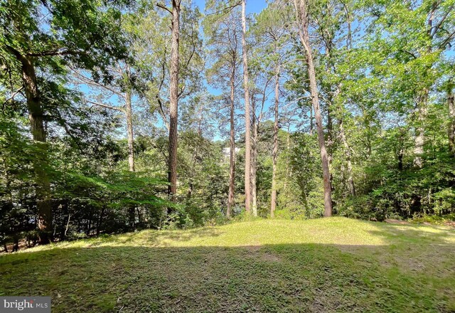 12987 Holly Way, Lusby, MD 20657 - view of grassy yard