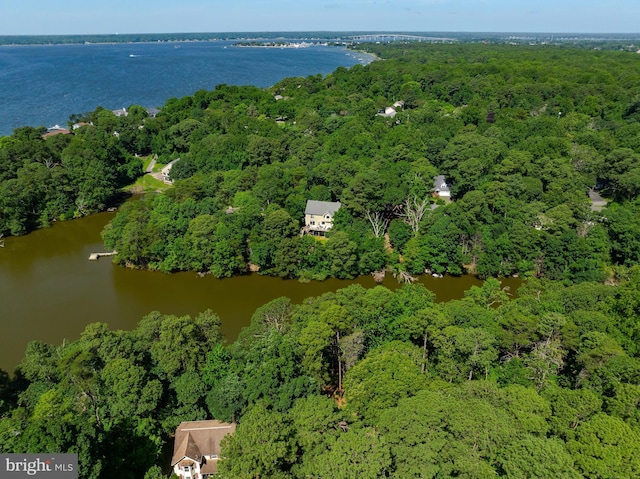 12987 Holly Way, Lusby, MD 20657 - view of property location featuring a heavily wooded area and a large body of water
