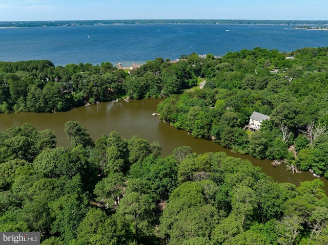 12987 Holly Way, Lusby, MD 20657 - view of property location featuring a forest and a nearby body of water